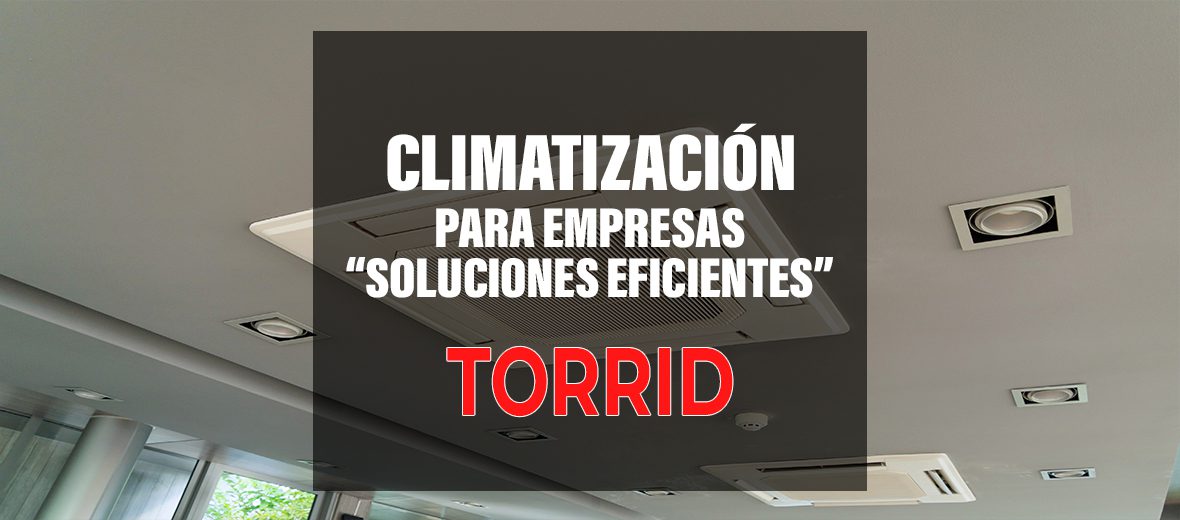 Climatización para empresas: ¿Qué soluciones son las más eficientes para tu negocio? TORRID 2000
