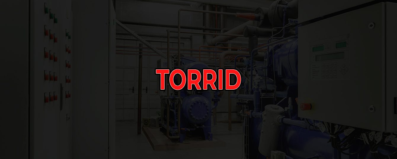 Frío industrial sostenible: cómo reducir el impacto ambiental - Torrid 2000